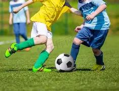 林诗栋勇夺,亚洲乒乓球,锦标赛八强,Pg电子官网,Pg电子试玩模拟器APP,pocket,game,Pg电子平台